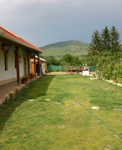 Tulipános Vendégház Golop