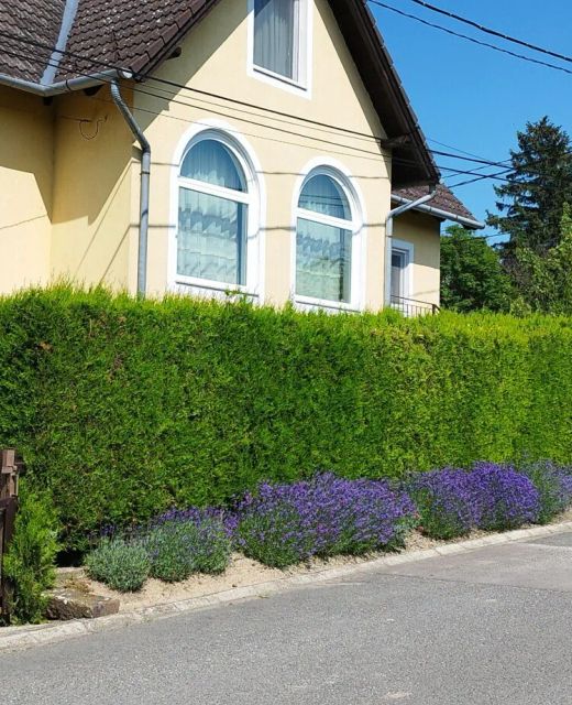Török Apartman Tihany