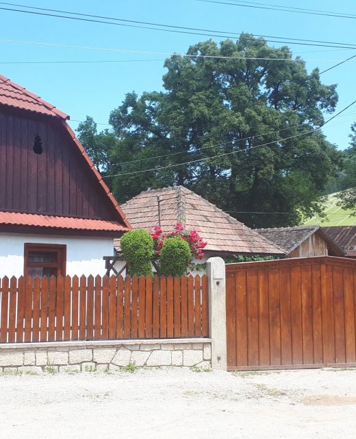 Pensiunea Rita Rimetea