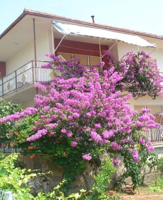 Apartments Kostovic Vinišće