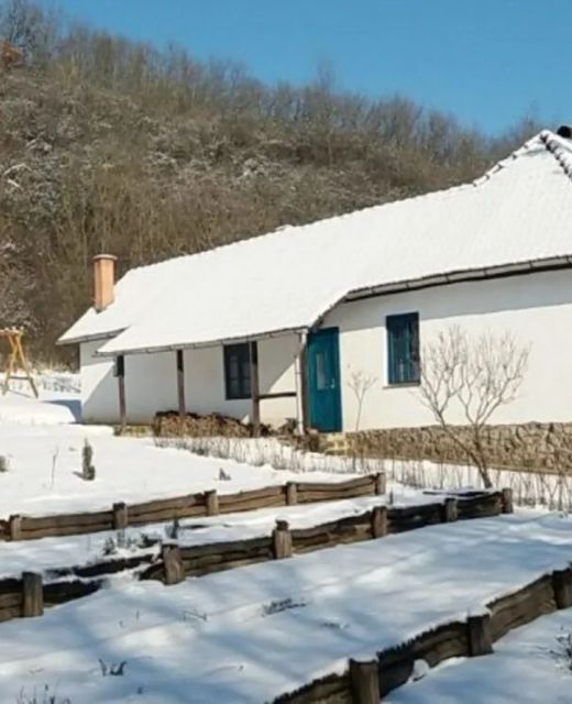 Orgona Ház Szécsény