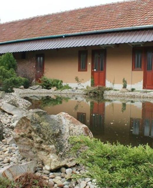 Darázsfészek Vendégház Békéscsaba