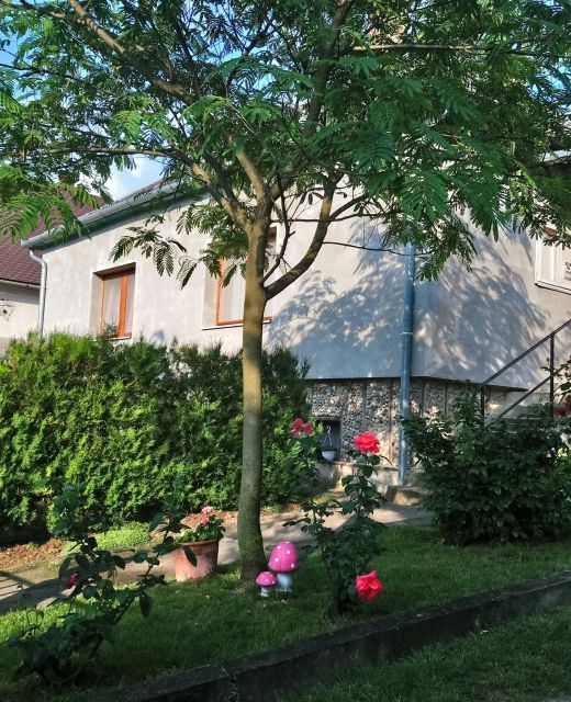 Hársfa Apartman Tamási