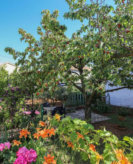 Apartmani Tea Zadar