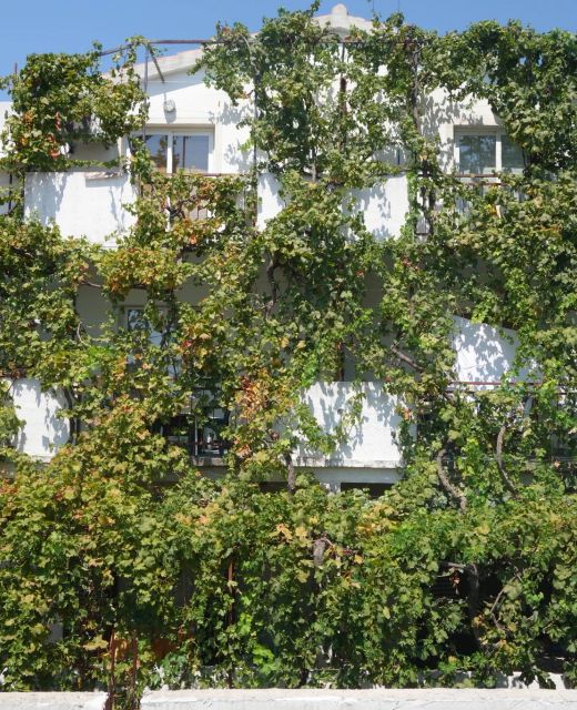 Apartmani Mistral Orebić