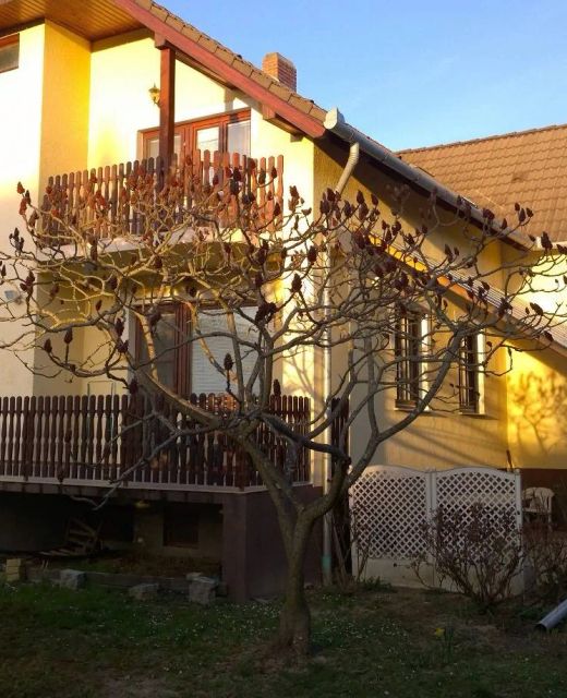Szirtes Apartman Zalakaros