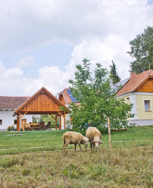 Harmatcsepp Vendégház Kercaszomor