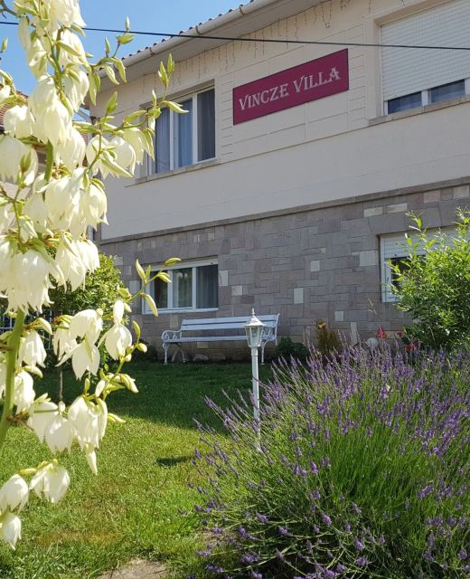 Vincze Villa Vendégház Bükkszék