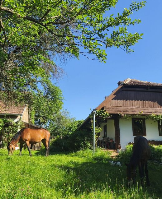 Őrségi Fecskefészek Vendégház Őriszentpéter