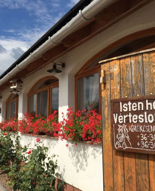 Vérteslovas Erdei Iskola és Szabadidőpark