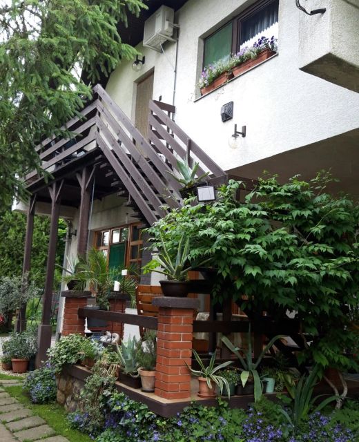 Agave Apartman Velence