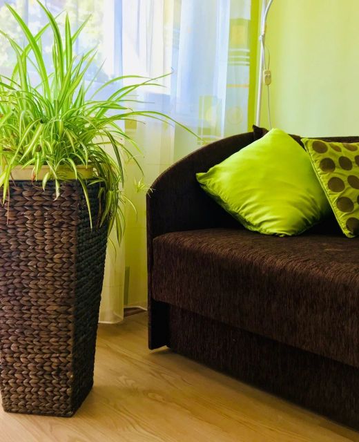 Centrum Apartman Szentes