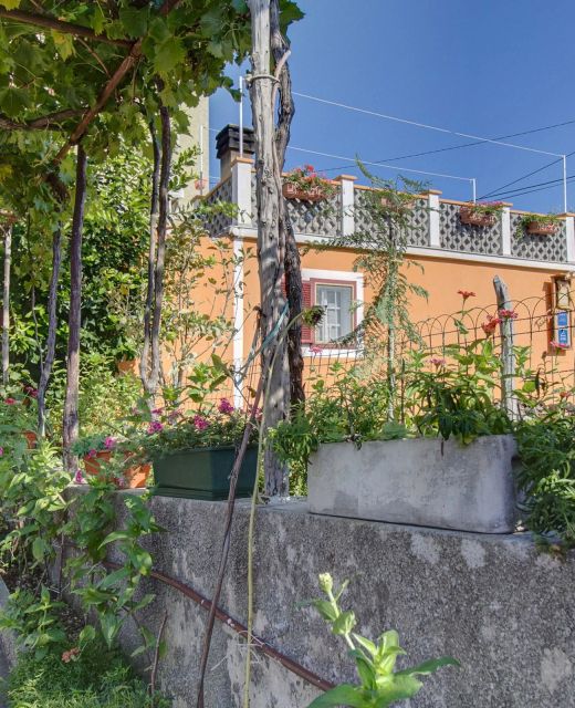 Apartments Tasha Stivan