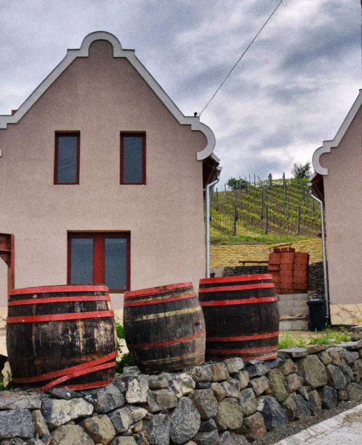 Bagdal-Vino Vendégház Somlójenő