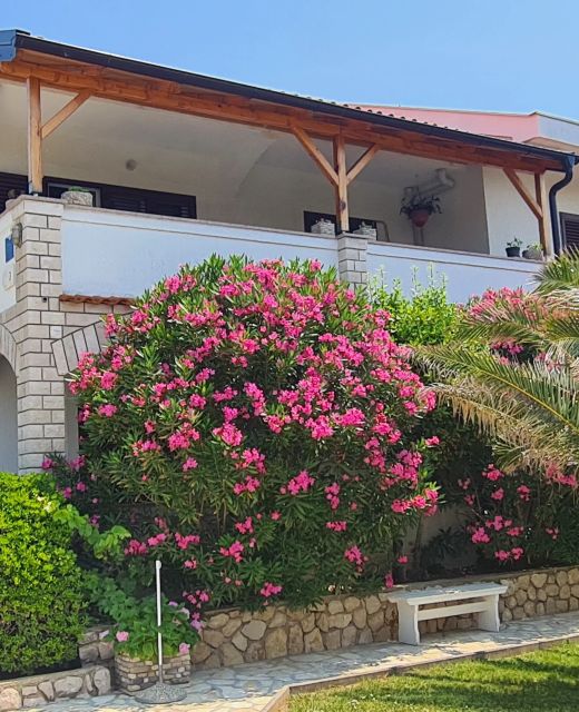 Apartments Ivo Pag