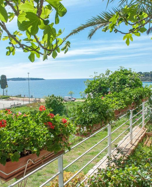 Apartments Petra near beach Pula
