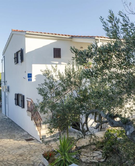 Apartments Oliva Maslinica