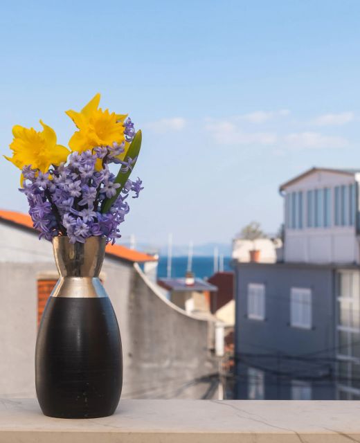 Apartment Lena city center near beach Vodice