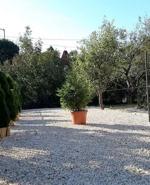 Nira Apartman Balatonfüred
