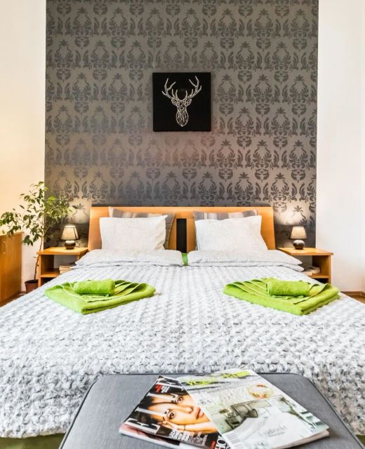 Family Apartment Downtown Budapest