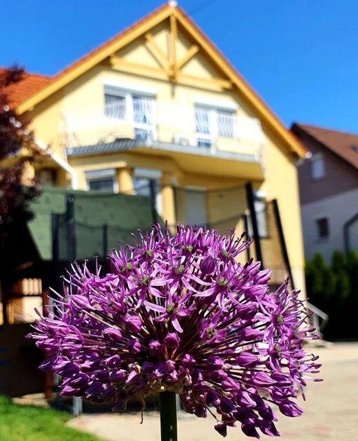 Li-Do Vendégház Balatonfüred