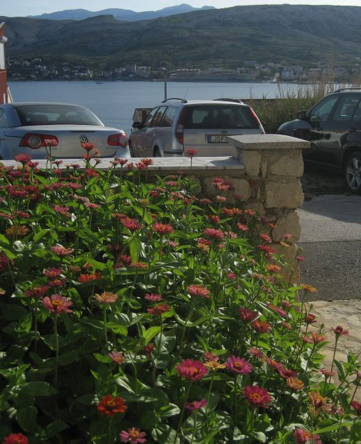 Apartmani Pavičić Marija Pag