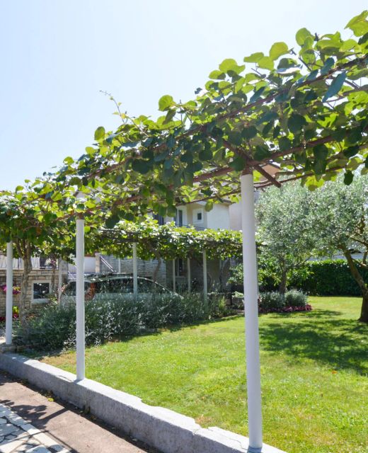Apartman Urem Fažana