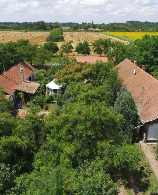 Páva Tanya és Vendégház Gyula