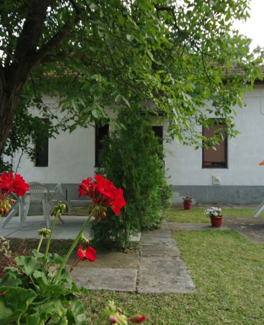 Ezüstfenyő Apartman Gyula