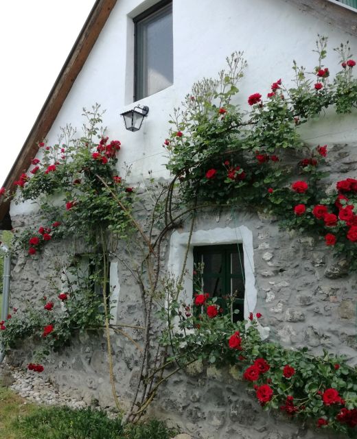 Kapolcs Cottage Vendégház Kapolcs