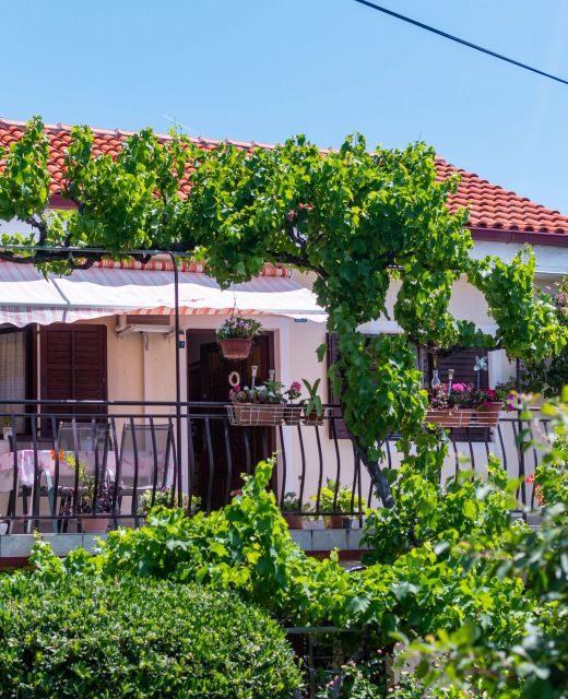 Apartments By The Sea Barbat, Rab - 4977 Barbat