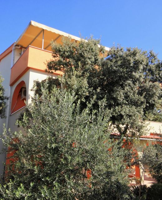 Apartments With Parking Space Mandre, Pag - 9354 Mandre