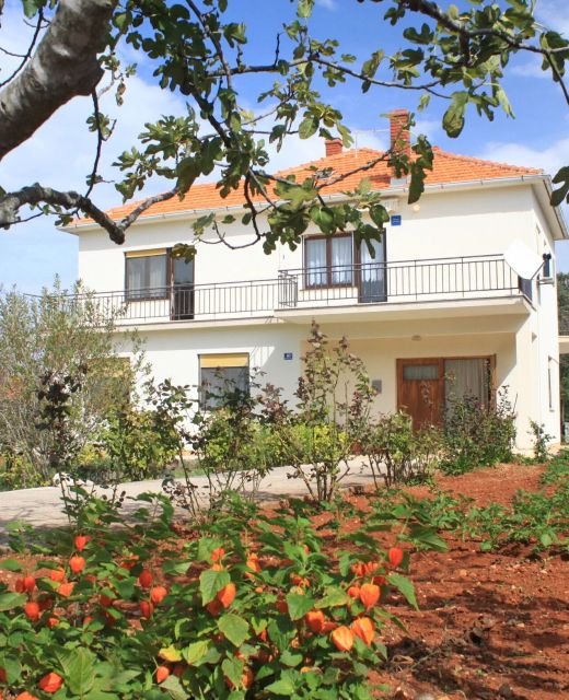 Apartments With Parking Space Ugljan - 8493