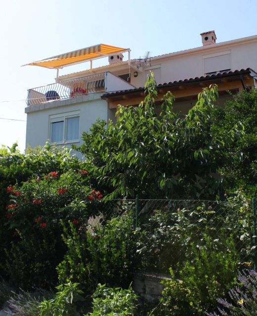 Apartments And Rooms With Parking Space Božava, Dugi Otok - 8100 Božava