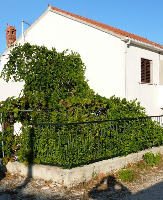 Apartments With Parking Space Postira, Brač - 2919 Postira