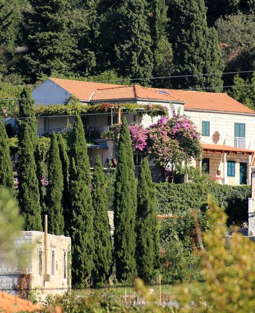 Apartments With Parking Space Slano, Dubrovnik - 8540 Slano