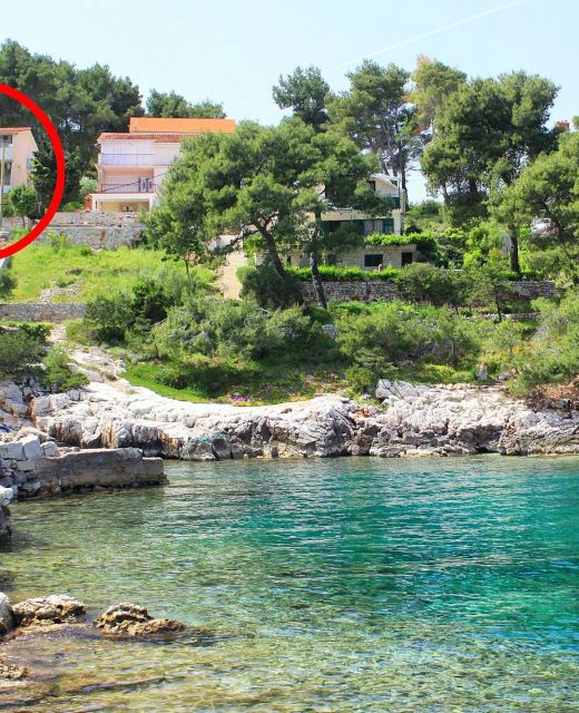 Apartments By The Sea Basina, Hvar - 11817 Basina