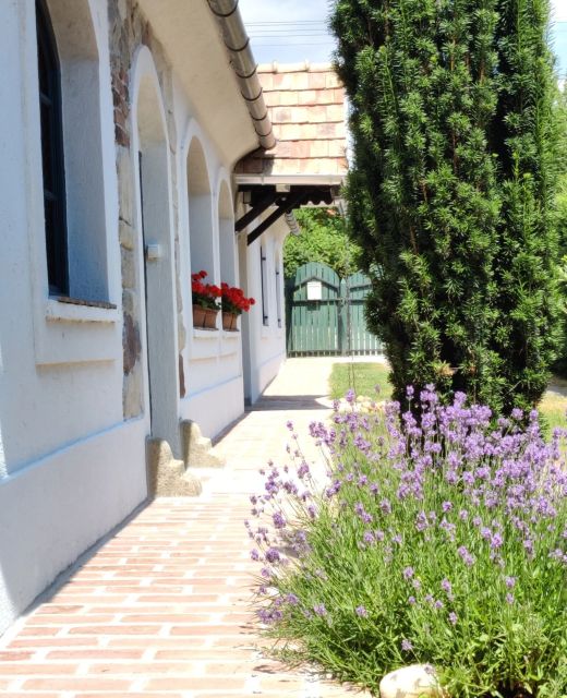 Titkoskert Kenese Vendégház Balatonkenese