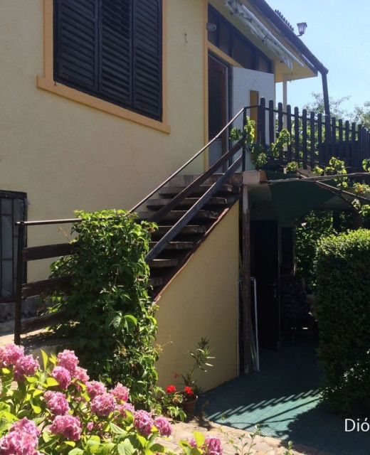 Diófa Apartman Badacsony
