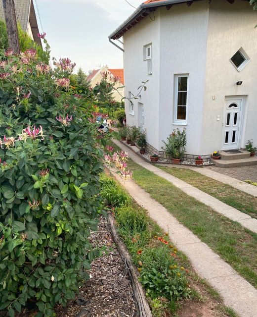 Eszter Apartman Paloznak