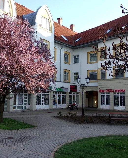 Rákóczi Apartman Sárospatak