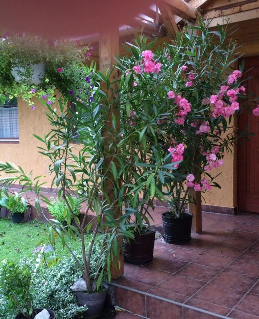 Békaváros Apartman Bakonybél