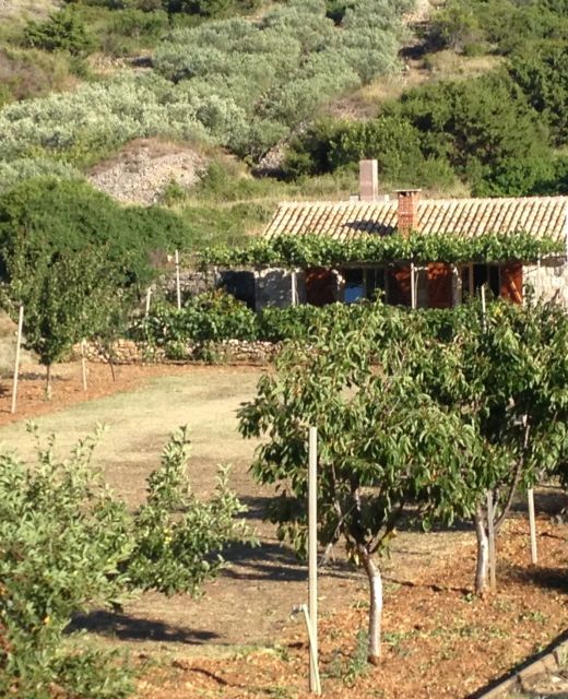 Secluded House With A Parking Space Podhumlje, Vis - 13984 Podhumlje