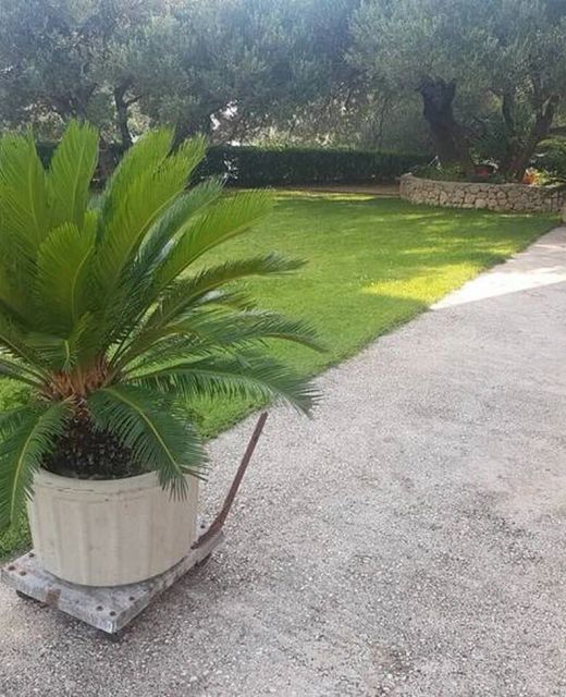 Apartments With Parking Space Makarska - 6768