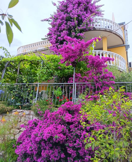 Apartments With Parking Space Medveja, Opatija - 7721 Medveja