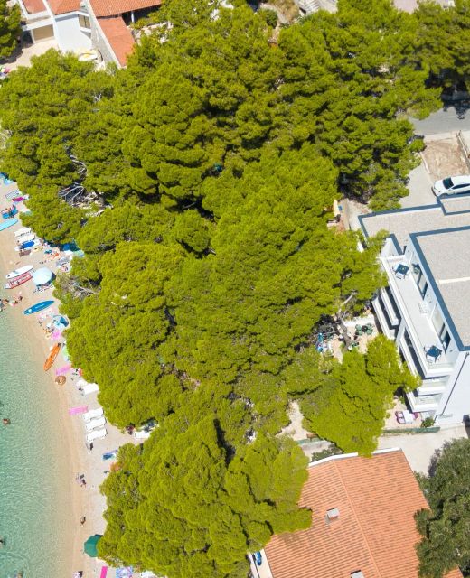 Family Friendly Seaside Apartments Brela, Makarska - 6007 Brela