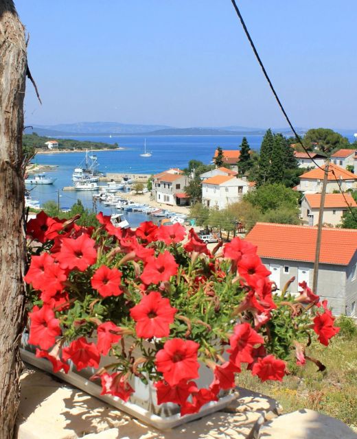 Apartments With WiFi Žman, Dugi Otok - 887 Žman