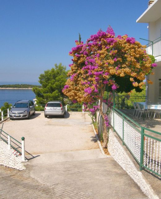 Apartments Dijo Primosten