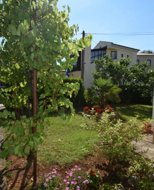 Apartments Petrovic Malinska
