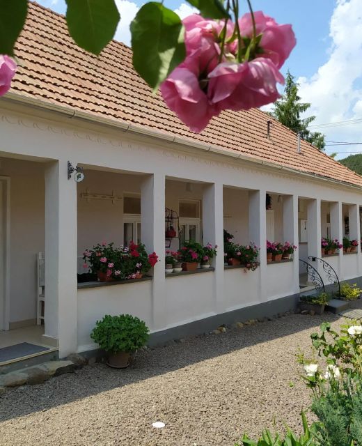 Ribizli Vintage Vendégház Parád